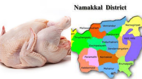 Happy News from Namakkal Palladam and Chicken price rises due to Lok Sabha Elections 2024 compaign