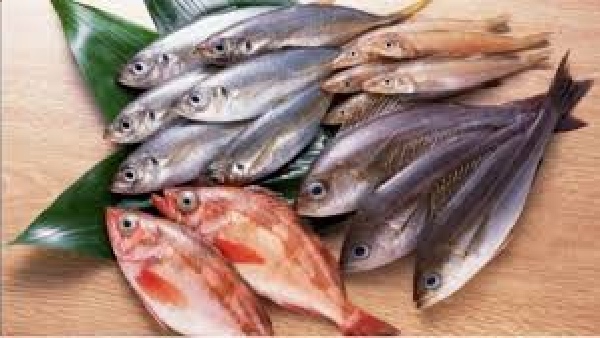 Do you know the Amazing Medicinal Benefits of Sheela Fish and What fish are good for Healthy Shining Skin Do you know the Amazing Medicinal Benefits of Sheela Fish and What fish are good for Healthy Shining Skin