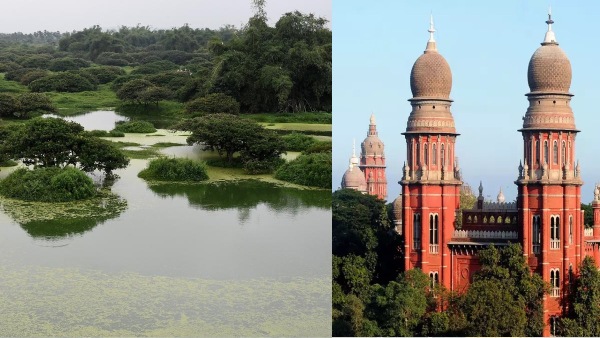 High Court directs Tamil Nadu government to start identification of wetland High Court directs Tamil Nadu government to start identification of wetland