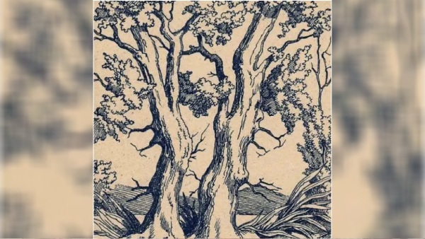 3 human face is disappear in the given optical illusion picture if you find it you are genius