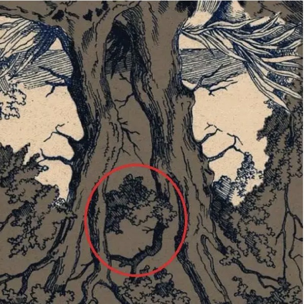 3 human face is disappear in the given optical illusion picture if you find it you are genius