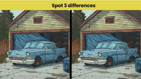 Optical Illusion Spot the 3 differences in this pictures within 15 seconds if you can