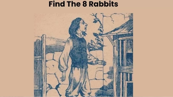 Optical Illusion Can you spot a man and his 8 rabbits