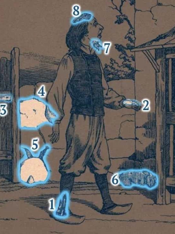 Optical Illusion Can you spot a man and his 8 rabbits