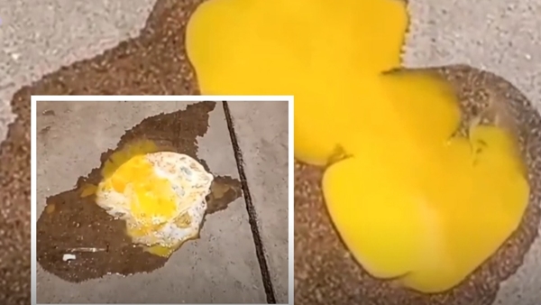 Video going viral of broken egg comes into omelette due to summer heat in Erode