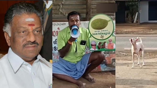 A dog barks when a supporter campaigns for O Paneer Selvam