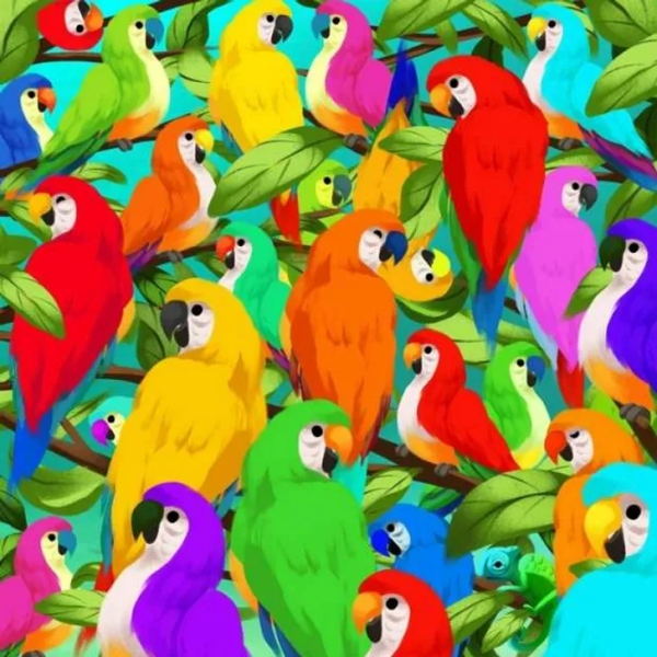 Optical illusion Can you find Chameleon among the parrots