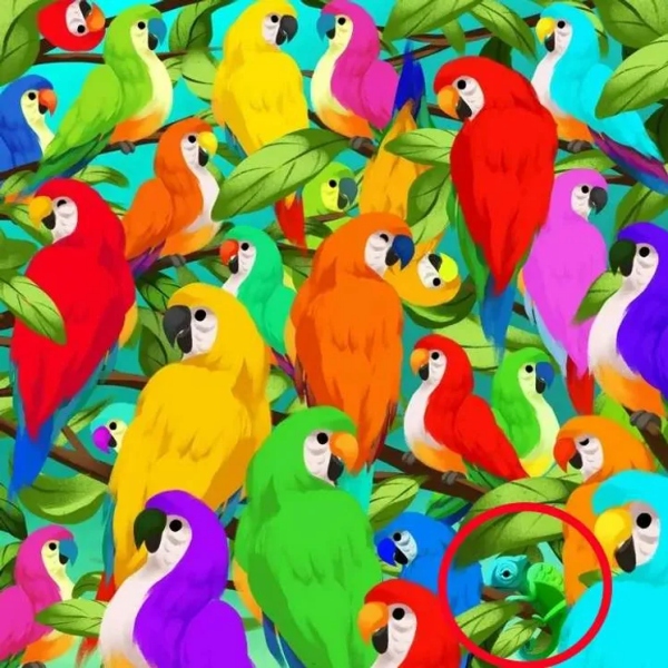 Optical illusion Can you find Chameleon among the parrots