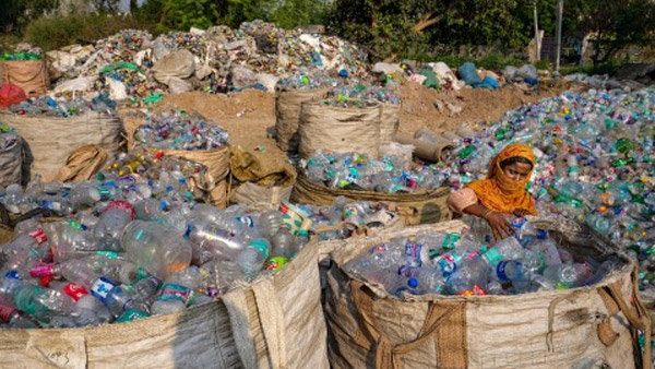 எத்தனை சதவிகிதம் 