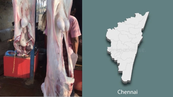 30000 goats arrival Chennai for Ramadan Festival and what are the 4 places in Mutton sales