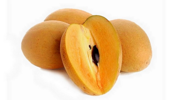 Best Medicinal Uses of Sapota Fruits and Can Pregnant Ladies take Sapota what are the Super Benefits of Sapota