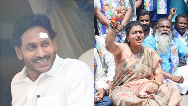 Stone-pelting attack on Jaganmohan Reddy Actress Roja has accused Chandrababu Naidu