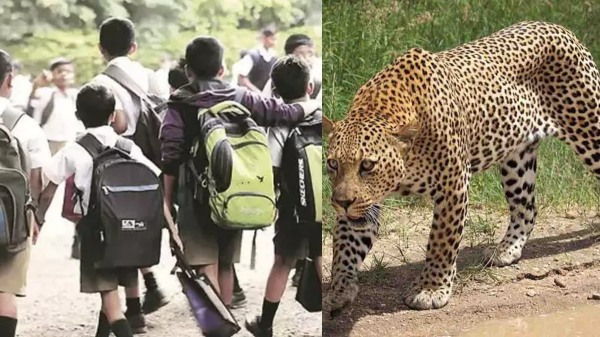 Leopard movement Holiday for 9 schools in Mayiladuthurai tomorrow District Administration