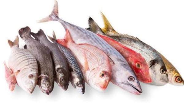 Can we eat Fish with Egg and Foods Should be avoided with fish what are the Super Benefits of fish