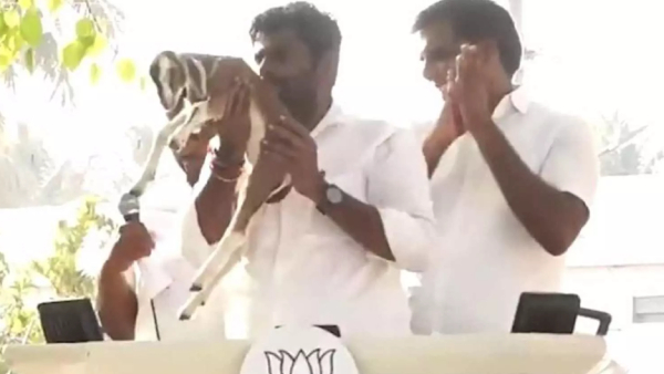 Coimbatore BJP Candidate Annamalai and do you know what happened in Kovai Palladam Mutton Biriyani Memes