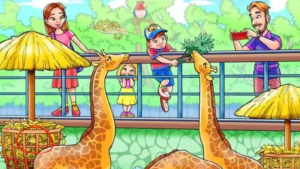 Optical illusion Can you find the monkey hidden in this zoo with in 9 seconds
