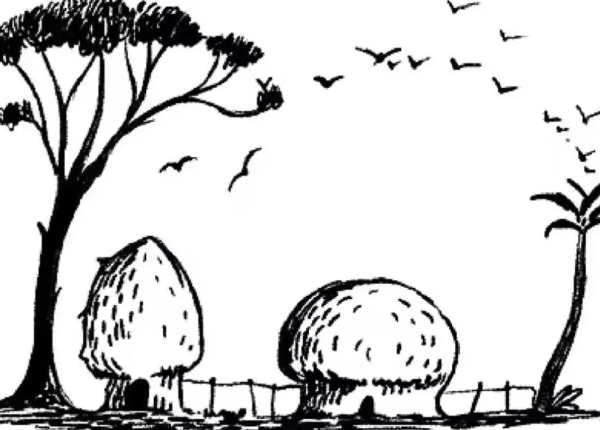 Optical Illusion Spot the hidden elephant in this image