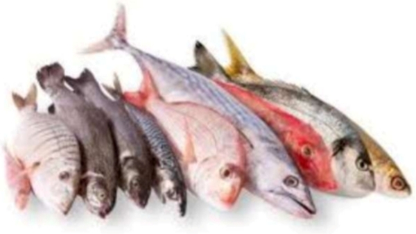 Amazing Health Benefits in the Fish and Which is the Excellent fish for the Heart Function Prevents Heart Attack