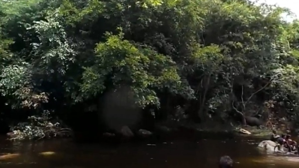Kallar is a natural swimming pool at the foothills of Kodaikanal