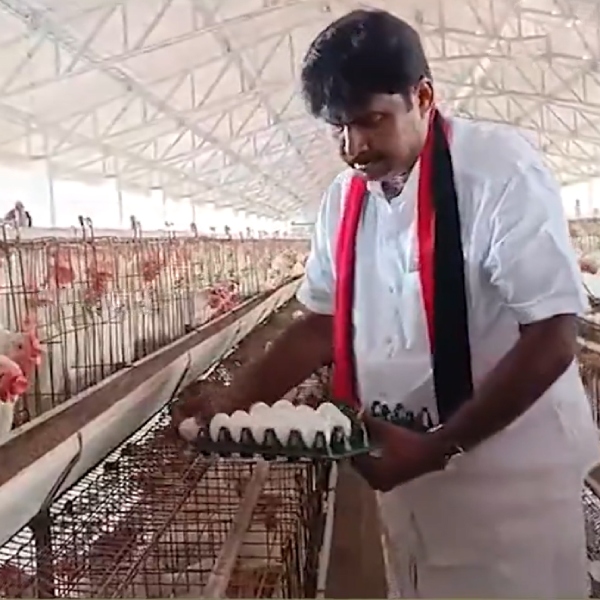 Why did Nakkakkal K R N Rajeshkumar enter into the poultry farms and what is AIADMKs Plan