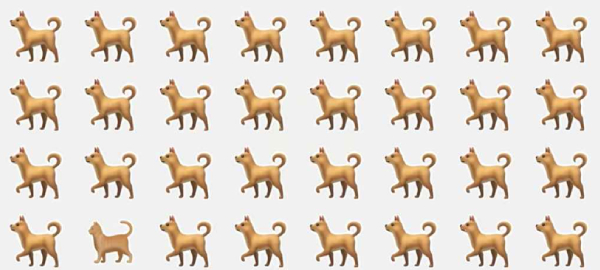 Optical Illusion Find the cat among dogs in this picture in 3 seconds