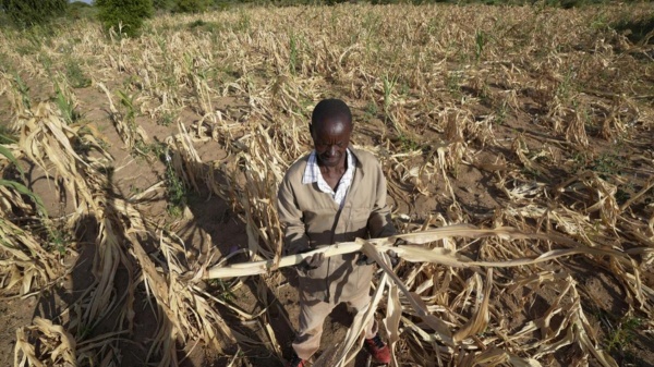 Announcement that Zimbabwe is in the grip of drought due to El Nino