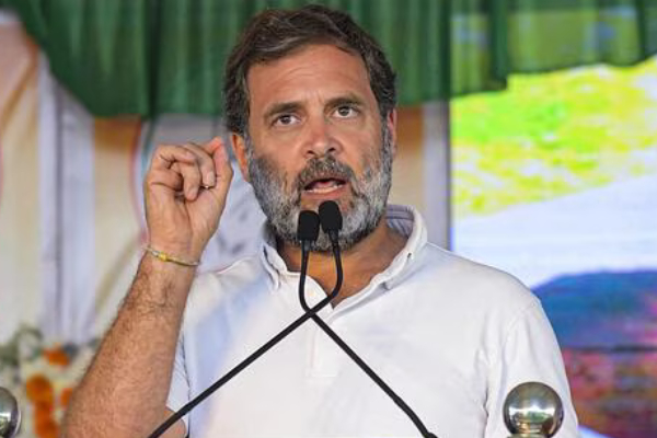 Is After 40 years Congress will win in Amroha Lok Sabha Seat in Uttar Pradesh details here Is After 40 years Congress will win in Amroha Lok Sabha Seat in Uttar Pradesh details here