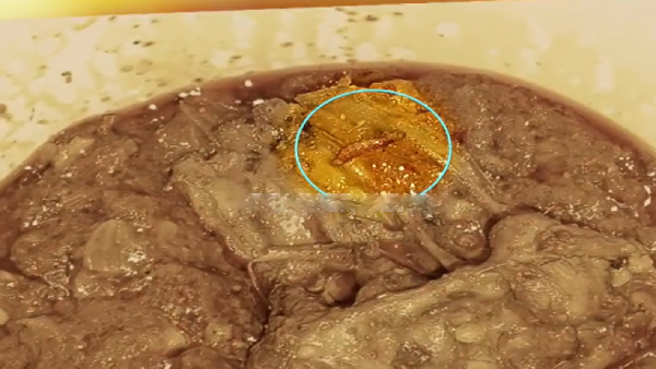 Woman complaint against Alif Briyani about a larva in chicken