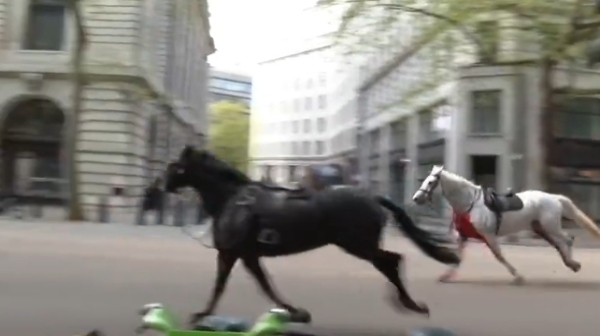 2 horses loose near Buckingham Palace and what happened to the two horses near central London