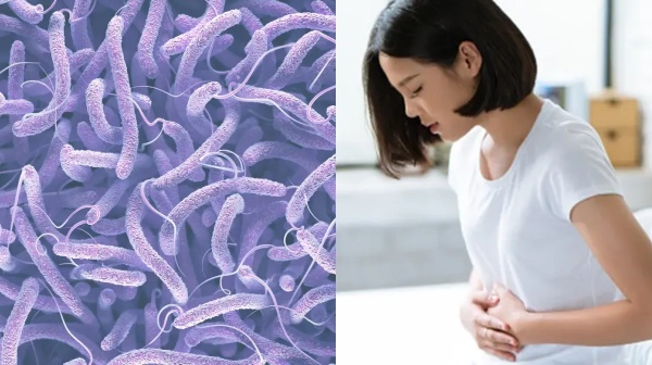 How can Bangalore people escape from cholera Here are the 6 steps