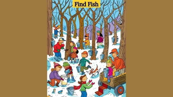 Can you find the fish in the optical illusion picture