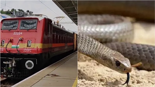 A snake bit a passenger on the Guruvayur-Madurai Express train Youth admitted to hospital