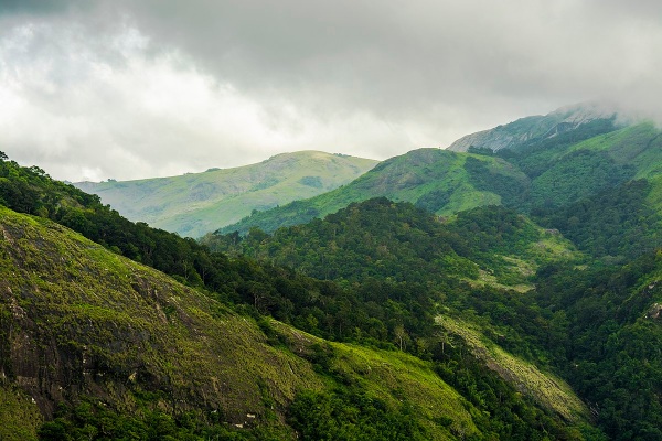 A Hill station called Nelliampathi in Kerala suits for summer