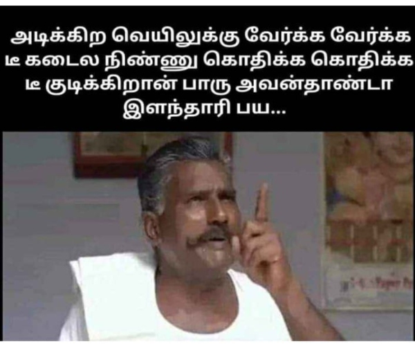 Tea lovers memes Funny memes collection on summer 24 04 2024