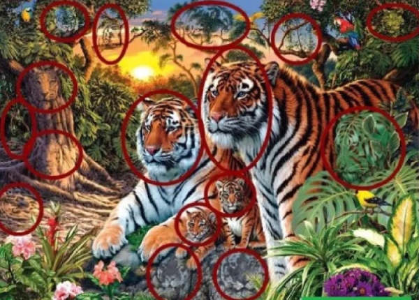 Optical Illusion spot the 16 tigers in this image in just 40 seconds