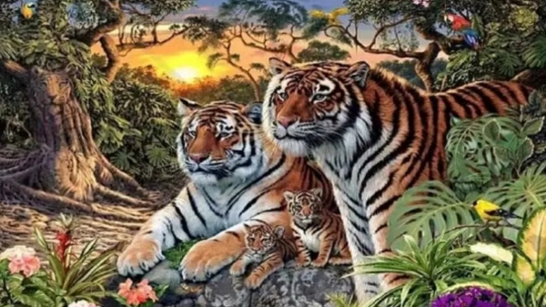 Optical Illusion spot the 16 tigers in this image in just 40 seconds