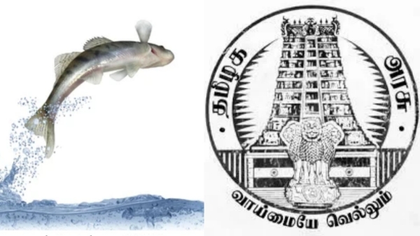 Fish Price rate will increase and fishermens Major 2 demand to the Tamil Nadu Government due to fishing prohibition