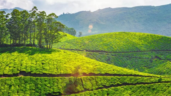 Top hill stations in south India that tourists must visit