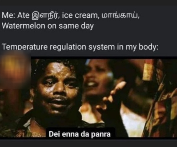 cold memes Funny memes collection on summer 18 04 2024
