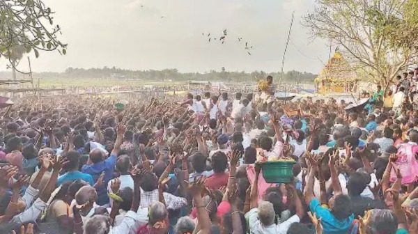 Nagapattinam Strange Temple Festival and bananas are thrown at the devotees near Nagai mappillai veeran temple Nagapattinam Strange Temple Festival and bananas are thrown at the devotees near Nagai mappillai veeran temple