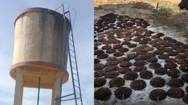 Cow faeces found in Pudukkottai gandarvakottai water tank
