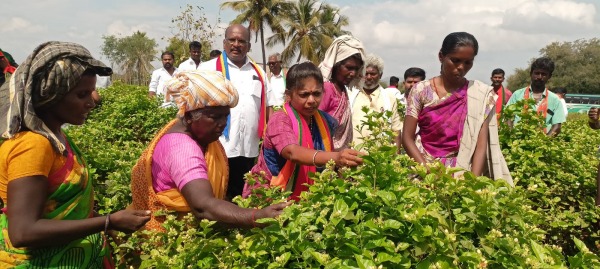 Executives who did not collect votes for Dindigul Lok Sabha constituency pmk candidate ThilagaBama