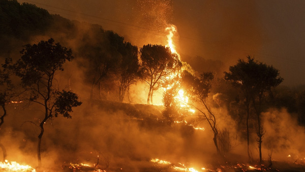 விசாரணை