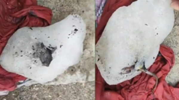 Hotels in Tamil Nadu and frozen rat embedded in ice supplied to hotels in Maharashtra pune