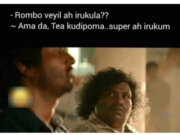 Tea lovers memes Funny memes collection on summer 24 04 2024