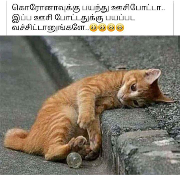 covishield memes Funny memes collection on Corona vaccines 03-05-2024