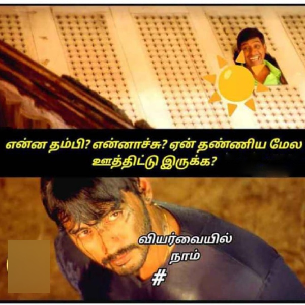 Funny memes collection on summer heat 06-05-24