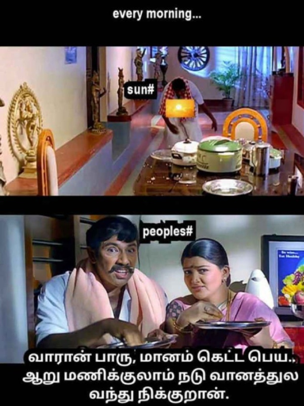 Funny memes collection on summer heat 08-05-2024