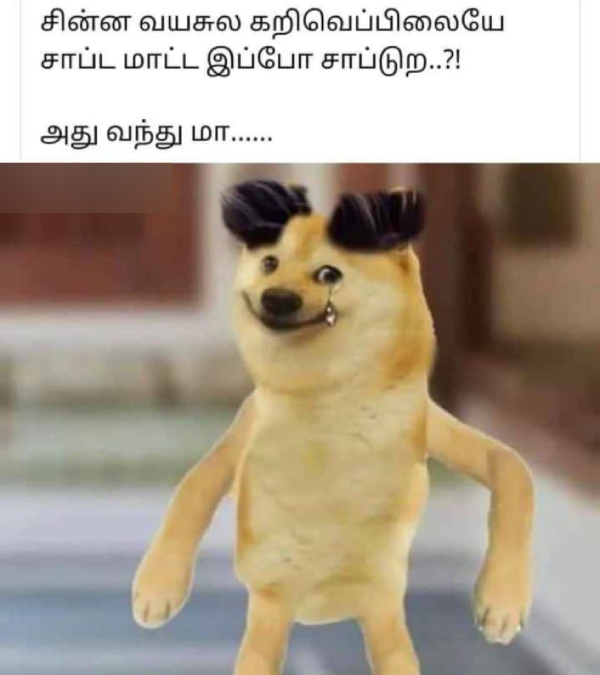 Funny memes collection on hair 11-05-2024