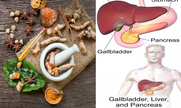 Super Medicinal Uses of Palmyra Sprout and What are the Best Food that reduce bile including Panangilangu